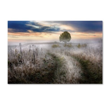 Trademark Fine Art Kirill Volkov 'Frosty Morning' Canvas Art, 22x32 1X00531-C2232GG